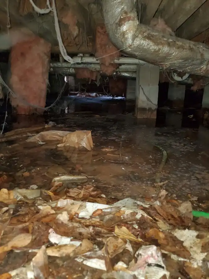 Crawl space flood assessment for Leak Detection & Repair in Slaton
